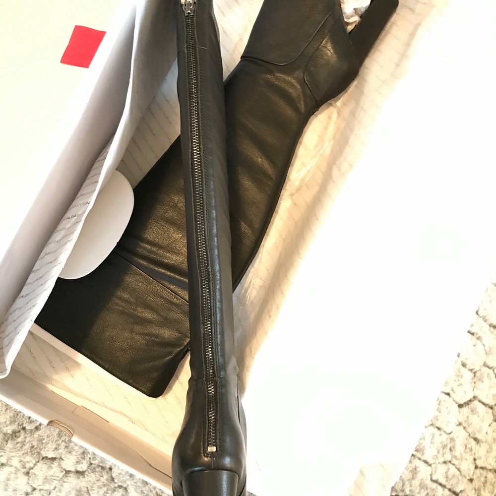 Aldo Sambuca Boots. NWT